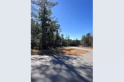 86 Coyote Run, Willis, TX 77378 - Photo 4