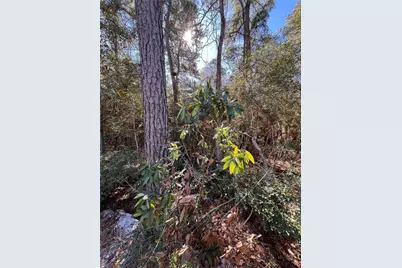 86 Coyote Run, Willis, TX 77378 - Photo 22