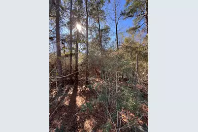 86 Coyote Run, Willis, TX 77378 - Photo 14