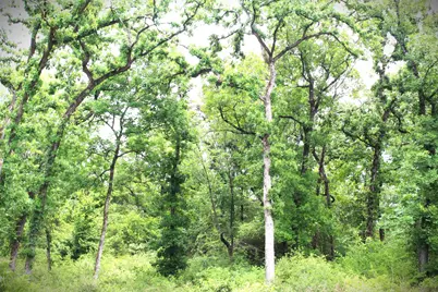 Tract 174 Pr 1311, Centerville, TX 75833 - Photo 14