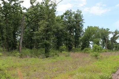 Tract 174 Pr 1311, Centerville, TX 75833 - Photo 22