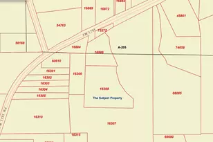 Tbd Fm 1791, Huntsville, TX 77340 - Photo 4