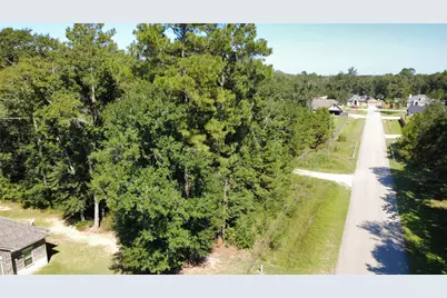 17210 Pecos Drive, Splendora, TX 77372 - Photo 4