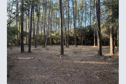 28655 Joseph Road, Hockley, TX 77447 - Photo 14