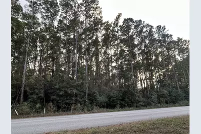 28655 Joseph Road, Hockley, TX 77447 - Photo 2