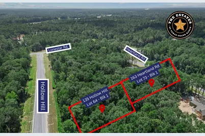 135 Hollow Hill Drive, New Waverly, TX 77358 - Photo 10