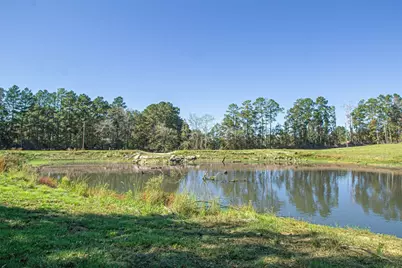 1275 Castlewood Road, Livingston, TX 77351 - Photo 12