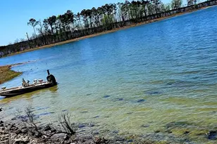 177 Sugarberry, Brookeland, TX 75931 - Photo 20