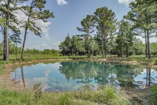 242 Private Road 77004, Liberty, TX 77575 - Photo 36