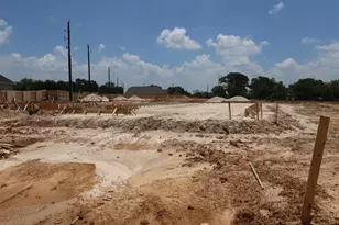 16806 Burr Oak Colony St, Hockley, TX 77447 - Photo 10