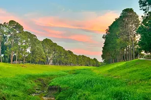 15715 Brookvilla Dr, Houston, TX 77059 - Photo 42