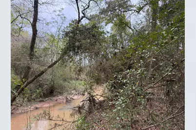 40654 Goldeneye Place, Magnolia, TX 77354 - Photo 28