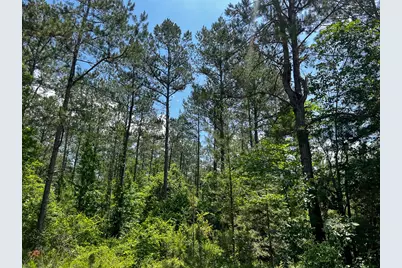 02 Highway 190, Oakhurst, TX 77359 - Photo 16