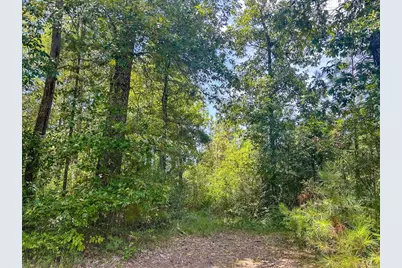 751 Red Hollow, Leggett, TX 77350 - Photo 4