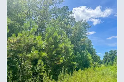 751 Red Hollow, Leggett, TX 77350 - Photo 6