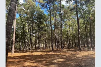 751 Red Hollow, Leggett, TX 77350 - Photo 1