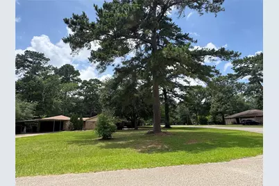 30819 Meadow Wood Drive, Magnolia, TX 77354 - Photo 4