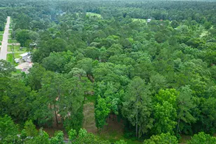 12028 Cedar Ln, Conroe, TX 77303 - Photo 40