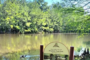 158 N Whistlers Bend Cir, The Woodlands, TX 77384 - Photo 38