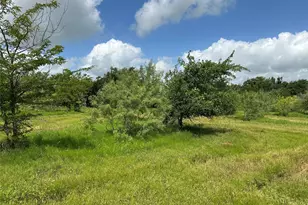 Tbd County Road 707, Kosse, TX 76653 - Photo 32