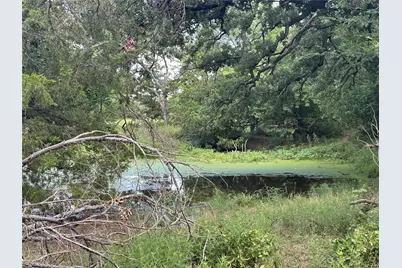 Tbd County Road 707, Kosse, TX 76653 - Photo 6