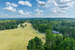 3269 Acr 153, Palestine, TX 75801 - Photo 44