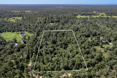 9238 Rocky Ridge Lane, Madisonville, TX 77864 - Photo 2