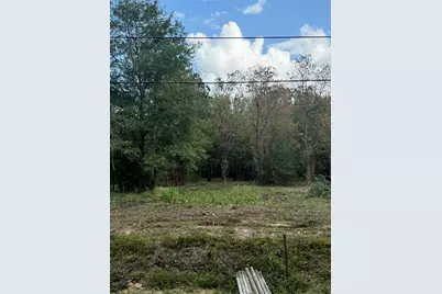 15577 E Relza Drive, Splendora, TX 77372 - Photo 14