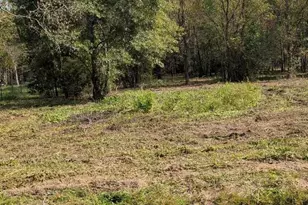 15577 E Relza Dr, Splendora, TX 77372 - Photo 12