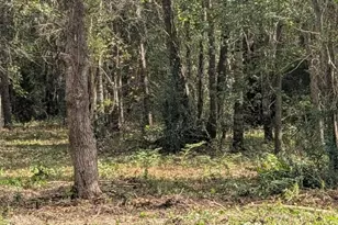 15577 E Relza Dr, Splendora, TX 77372 - Photo 10