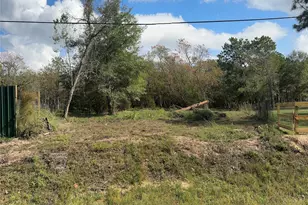 15577 E Relza Dr, Splendora, TX 77372 - Photo 1