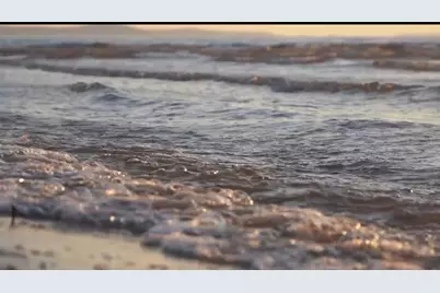 13719 Mutiny Lane, Galveston, TX 77554 - Photo 40