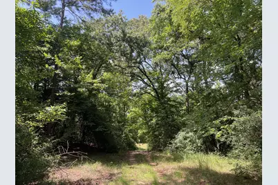 11 Ac Pr 2205, Buffalo, TX 75831 - Photo 6