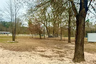 14912 Hannah Wy, Conroe, TX 77302 - Photo 6