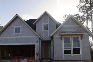 28218 Serene Pt Dr, Spring, TX 77386 - Photo 4