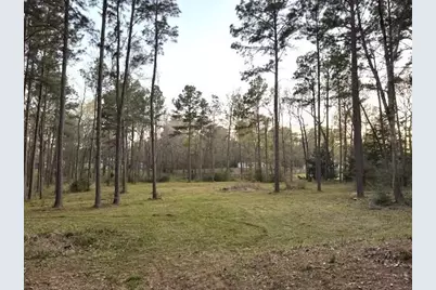 14468 Ehler Lane, Montgomery, TX 77356 - Photo 18