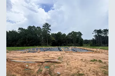230 Gonsoulin Lane, Pinehurst, TX 77362 - Photo 10
