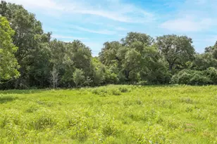 Tbd Cr 212 - Tract 6, Hallettsville, TX 77964 - Photo 4