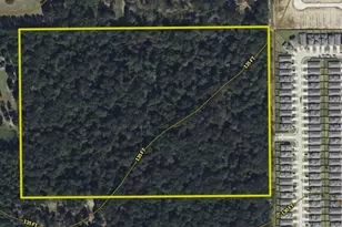 Tbd White Oak Dr, Conroe, TX 77306 - Photo 4