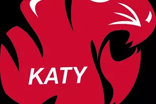 1315 Breezy Bend Dr, Katy, TX 77494 - Photo 24