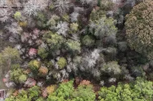 2141 Rd 660, Dayton, TX 77535 - Photo 1