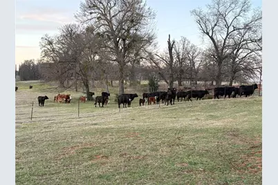 3713 County Road 386, Marquez, TX 77865 - Photo 8