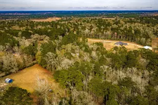 4826 Old Israel Rd, Livingston, TX 77351 - Photo 6