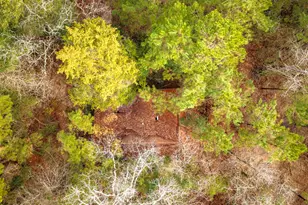 4826 Old Israel Rd, Livingston, TX 77351 - Photo 10