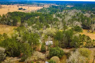 4826 Old Israel Rd, Livingston, TX 77351 - Photo 12