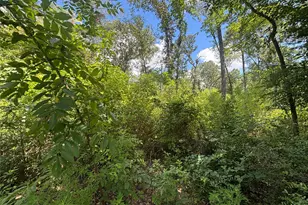26059 E Christine Dr, Splendora, TX 77372 - Photo 1