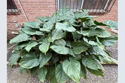 7007 Avenue F, Houston, TX 77011 - Photo 34