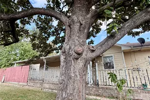 7007 Avenue F, Houston, TX 77011 - Photo 42