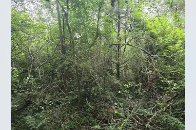 1069 Conestoga Trail, Livingston, TX 77351 - Photo 4