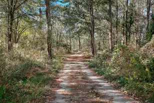 18533 Fm 1485 Rd, New Caney, TX 77357 - Photo 28